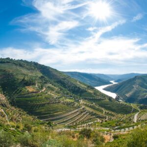 Douro River 2025