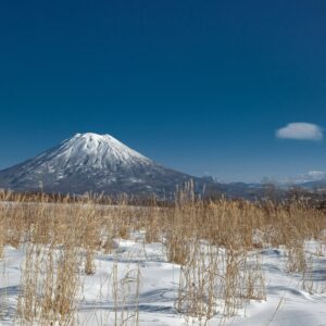 Niseko 2026